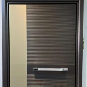 Steel Security Door