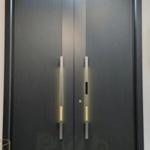 Modern Apartment Security Door